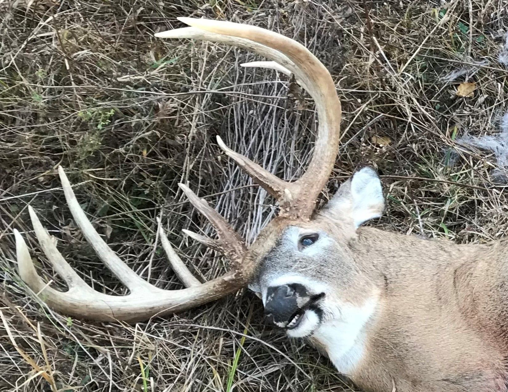 Listing Photo: Hunting Photo 11